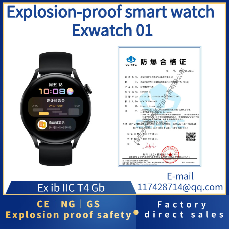 Explosion-proof smart watch Exwatch 01